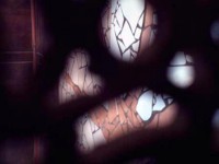 /album/multi-co-amp-art-om-associes-/sdb-web3-jpg/